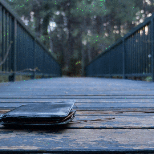 TrakOne in action demonstration